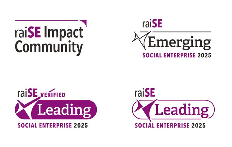 SOCIAL ENTERPRISE LANDSCAPE